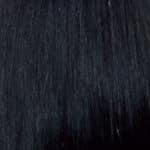 (Color 1) Negro azabache