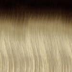 (Color R4.1001) Raíz oscura resto rubio platino